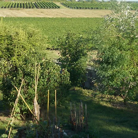 Bed & Breakfast D'hotes La Hourqueyre 3*